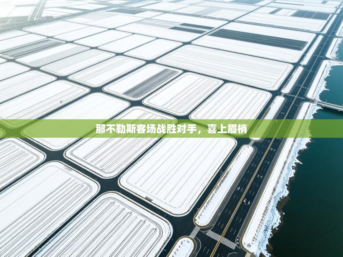 那不勒斯客场战胜对手，喜上眉梢  第1张